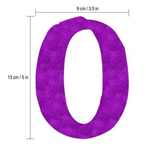 Official Teenager Purple Glitter Banner - 13th Birthday Party Decorations Gifts and Supplies