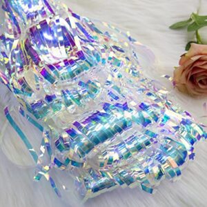 Sharonlily 2 pcs Gorgeous Iridescent Fringe Curtains, 3.2X 8.2 Feet, Transparent Holographic Tinsel Backdrop Streamers, Sturdy Metallic Foil Door Curtain for Birthday Bachelorette Party Decorations