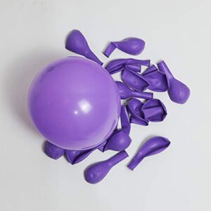 Macaron Purple Balloon Arch Garland Kit-Macaron Purple Balloon Metallic Purple Balloon 133Pcs for Birthday,Gender Reveal,Baby Shower,Wedding,Engagement,Christmas and Bachelor Party Decoration.