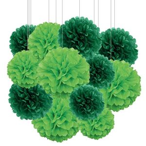 aimto 12pcs dark green and lemon green paper pom poms decorations for st. patrick’s day party hanging tissue flowers decorations – 1 color of 12 inch, 10 inch