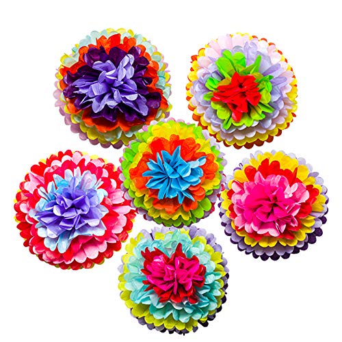 Mexican Fiesta Tissue Paper Pom Poms Flowers Rainbow Theme Party Supplies for Carnival Cinco De Mayo Wedding Birthday Decorations(6PCS)