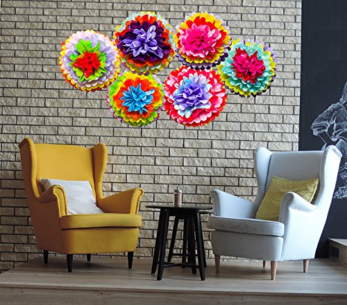 Mexican Fiesta Tissue Paper Pom Poms Flowers Rainbow Theme Party Supplies for Carnival Cinco De Mayo Wedding Birthday Decorations(6PCS)