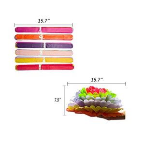 Mexican Fiesta Tissue Paper Pom Poms Flowers Rainbow Theme Party Supplies for Carnival Cinco De Mayo Wedding Birthday Decorations(6PCS)