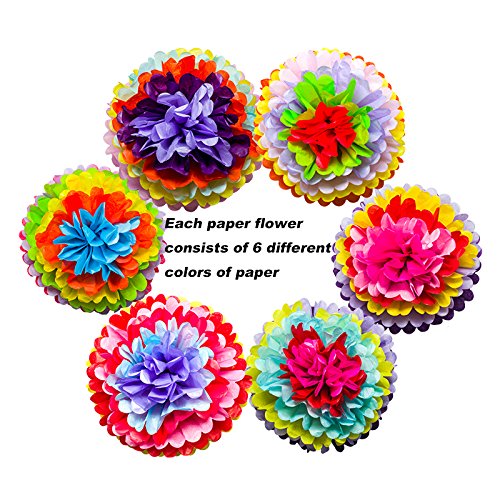 Mexican Fiesta Tissue Paper Pom Poms Flowers Rainbow Theme Party Supplies for Carnival Cinco De Mayo Wedding Birthday Decorations(6PCS)