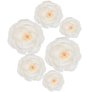 beishida 6 pieces paper flower decoration supplies for party decoration, wedding decoration, background wall, room decoration, bridal shower, baby shower (white)