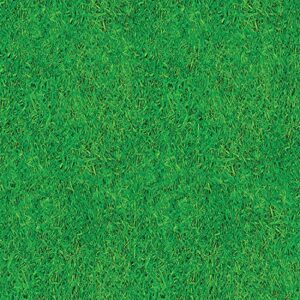 Beistle Disposable Plastic Grass Print Rectangular Tablecloth for Sports Football Theme Birthday Easter Party Supplies, 54"x108", green