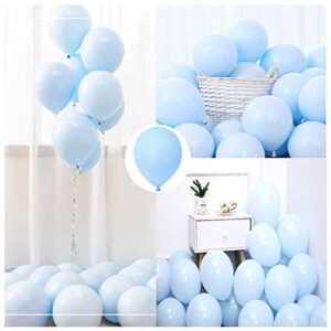 Pastel Blue Balloons 10 inch 100pcs Baby Blue Latex Balloons for Party Birthday Wedding Anniversary or any Party Decorations-pastel blue