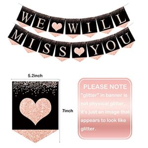 Rose Gold Farewell Party Decorations Supplies Kit, Will Miss You Banner, We Will Miss You Decorations, Going Away Party Hanging Swirls Decorations