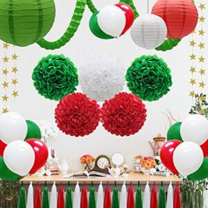 43pcs Party Decorations Set, Paper Lanterns Balloons Tassels Hanging Garland Banner Tissue Pom Poms Flowers Clover Garland Paper Garland for Baby Shower Bridal Birthday Christmas Events