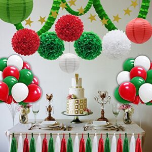 43pcs Party Decorations Set, Paper Lanterns Balloons Tassels Hanging Garland Banner Tissue Pom Poms Flowers Clover Garland Paper Garland for Baby Shower Bridal Birthday Christmas Events