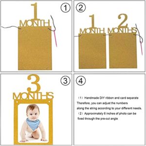 1st Birthday Baby Photo Banner ，Growth Record 1-12 Month Photo Prop ，Monthly Milestone Photograph Bunting Garland, First Birthday Celebration Decoration （Black）