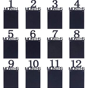 1st Birthday Baby Photo Banner ，Growth Record 1-12 Month Photo Prop ，Monthly Milestone Photograph Bunting Garland, First Birthday Celebration Decoration （Black）