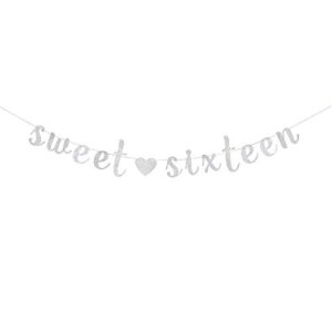 Silver Glitter Sweet Sixteen Banner - Happy 16th Birthday Banner - 16th Birthday Party Decorations for Girls - Sixteen Years Old Decorations