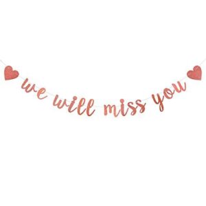 rose gold glitter we will miss you banner–retirement party decorations sign-going away party decor-farewell party decorations-office work party decorations