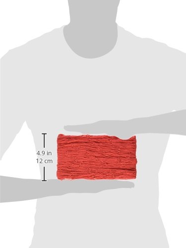 Beistle Red Cotton String Novelty Nautical Decorative Fish Netting Under The Sea Luau Party Supplies Red 4' x 12'