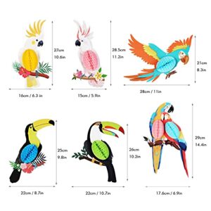 KESOTE 6 Pieces Hawaiian Tropical Parrot Birds Honeycomb Paper Cutouts Hanging Party Decorations, Summer Beach Tiki Bar Rainforest Party Decor for Home Classroom Yard