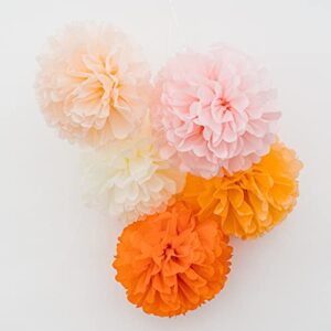 PapaKit Party Tissue Pom Pom Paper Flower Set, for Birthday Party Baby Shower Wedding Engagement Bachelorette Event Decoration ( Bright Orange Bloom, 20 Piece Set)