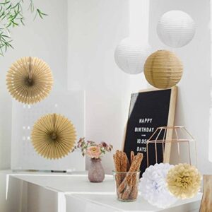 ANSOMO Rustic Paper Party Decorations for Bridal Baby Shower Birthday Wedding, Pom Poms Paper Fans Lanterns, White and Tan