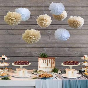 ANSOMO Rustic Paper Party Decorations for Bridal Baby Shower Birthday Wedding, Pom Poms Paper Fans Lanterns, White and Tan