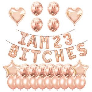 santonila 23rd birthday party set-i am 23 bitches funny banner confetti rose gold balloons for girls 23 years old birthday decorations