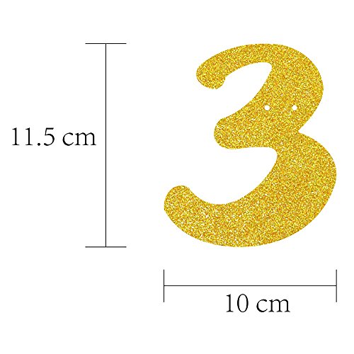 GOER Cheers to 30 Years and Champagne Glasses Gold Glitter Banner for 30th Birthday Party Decorations