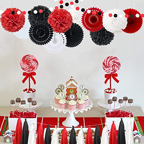 InBy 29pcs Red Black White Mickey Minnie Mouse Ladybug Birthday Wedding Baby Shower Bachelorette Party Decoration Kit - 12" 10" Tissue Paper Pom Pom, Tassel Garland, Circle Dot Garland, Paper Fan