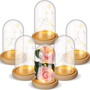 remerry 6 pieces plastic cloche dome plastic dome display case with rustic wood base and led fairy light jar for rose valentine’s day wedding tabletop centerpiece decoration, 6.5 x 3.7 inch