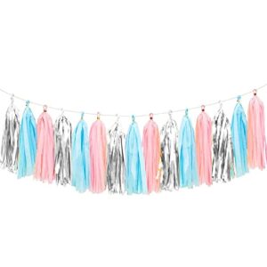 we moment gender reveal tissue paper tassel banner for wedding,birthday,baby shower party decorations，diy kits，pink，blue，silver，15pcs