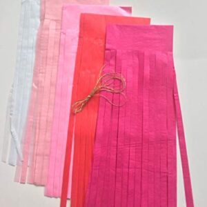 Fonder Mols 25pcs Pink Ombre Tassel Garland DIY Kit- Balloon Tail - Banner - Pink Birthday - Pink Nursery - Bachelorette Party - Baby Girl - Baby Shower - High Chair Decorations A02