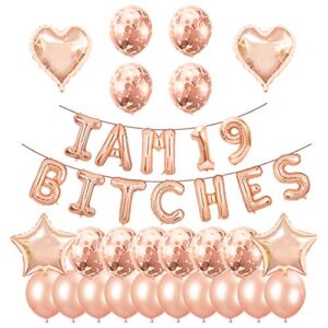 santonila 19th birthday party set-i am 19 bitches funny banner confetti rose gold balloons for girls 19 years old birthday decoration