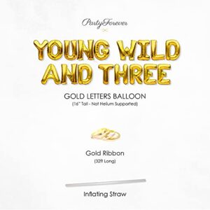 PartyForever Young Wild And Three Balloons Banner Gold Themed 3rd Birthday Party Decorations Sign