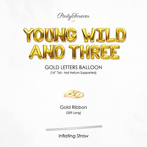 PartyForever Young Wild And Three Balloons Banner Gold Themed 3rd Birthday Party Decorations Sign
