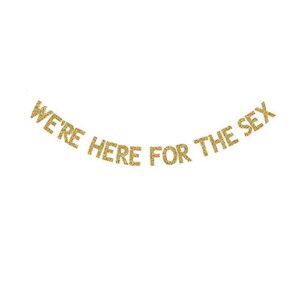 we’re here for the sex banner, fun gender reveal party banner, gold gliter paper garland for baby shower party decorations supplies