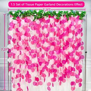 205Ft Hot Pink Party Decorations Big Circle Dots Backdrop Garland Rose Pink Tissue Paper Polka Dots Hanging Curtain Streamer for Birthday Bachelorette Engagement Wedding Bridal Shower Party Supplies