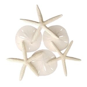 set of 6 white starfish and sand dollars – 3 finger starfish 4 to 6 inch and 3 sand dollars 3 to 3.5 inch – starfish and sand dollars for crafts by tumbler home