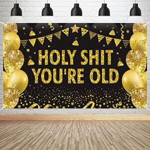 holy shit you’re old banner funny birthday decorations, 30th 40th 50h 60th 70th 80th birthday backdrop party supplies, funny birthday poster décor(72.8 x 43.3 inch)