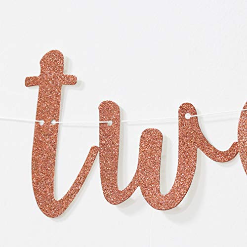 Rose Gold Glitter Born Two Be Wild Banner for Two Years Old, 2nd Happy Birthday, Baby Shower Party Decorations