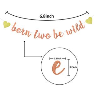 Rose Gold Glitter Born Two Be Wild Banner for Two Years Old, 2nd Happy Birthday, Baby Shower Party Decorations