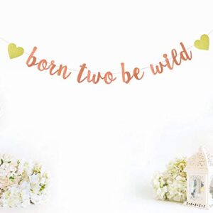 Rose Gold Glitter Born Two Be Wild Banner for Two Years Old, 2nd Happy Birthday, Baby Shower Party Decorations