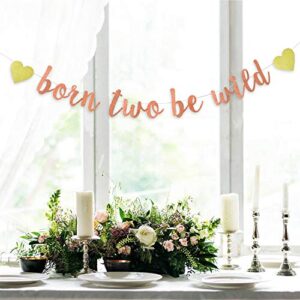 Rose Gold Glitter Born Two Be Wild Banner for Two Years Old, 2nd Happy Birthday, Baby Shower Party Decorations