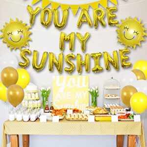 Sunshine Party Decorations Yellow Birthday Decorations Sun Party Decorations Sunshine Birthday Decorations You Are My Sunshine Party Decorations Banner Sunshine Baby Shower Decorations Sun Balloon