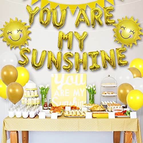 Sunshine Party Decorations Yellow Birthday Decorations Sun Party Decorations Sunshine Birthday Decorations You Are My Sunshine Party Decorations Banner Sunshine Baby Shower Decorations Sun Balloon