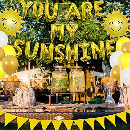 Sunshine Party Decorations Yellow Birthday Decorations Sun Party Decorations Sunshine Birthday Decorations You Are My Sunshine Party Decorations Banner Sunshine Baby Shower Decorations Sun Balloon