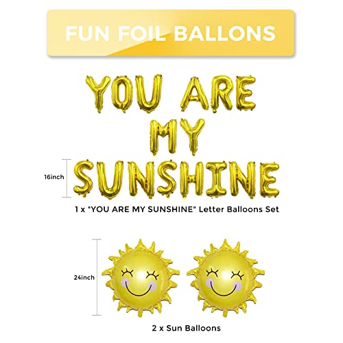 Sunshine Party Decorations Yellow Birthday Decorations Sun Party Decorations Sunshine Birthday Decorations You Are My Sunshine Party Decorations Banner Sunshine Baby Shower Decorations Sun Balloon