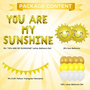 Sunshine Party Decorations Yellow Birthday Decorations Sun Party Decorations Sunshine Birthday Decorations You Are My Sunshine Party Decorations Banner Sunshine Baby Shower Decorations Sun Balloon