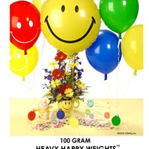 Happy Weight 100 g Heavy Balloon Weight Primary Plus Asst (10 Piece)