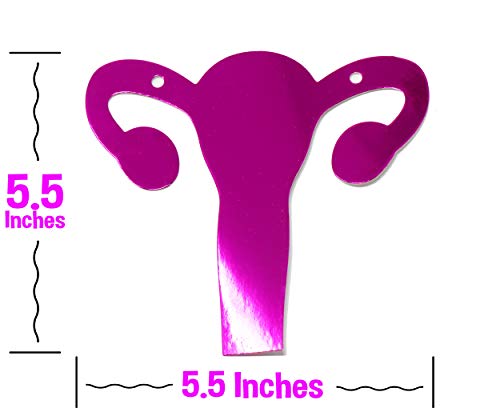 ROFLmart Uterus Party Bundle Banner Confetti And Balloon Decorations For Hysterectomy Party