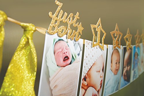 1st Birthday 12 months Photo Banner, Cake Topper, Highchair One Garland. Newborn to 1 Year old Monthly Milestone Picture, Baby Boy & Girl First Gold Decorations Party Supplies