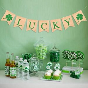 St. Patrick's Day Decorations Lucky Shamrock Banner Irish Four Leaf Clover Garland Flags