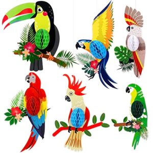 big tropical birds for luau party decorations – pack of 6, bird decorations for party | rainforest decorations for classroom | toucan cutout, hawaiian party decorations | tropical party decorations